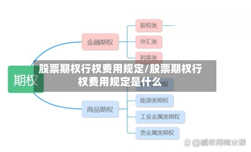 股票期权行权费用规定/股票期权行权费用规定是什么