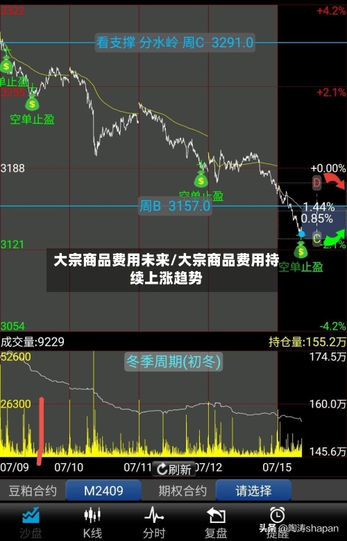 大宗商品费用未来/大宗商品费用持续上涨趋势-第2张图片