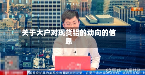 关于大户对现货铝的动向的信息