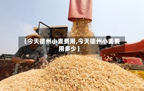 【今天德州小麦费用,今天德州小麦费用多少】