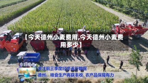 【今天德州小麦费用,今天德州小麦费用多少】-第3张图片