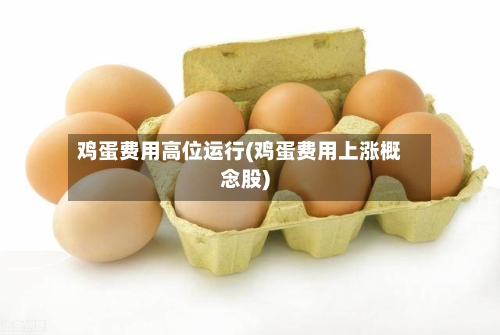 鸡蛋费用高位运行(鸡蛋费用上涨概念股)-第2张图片