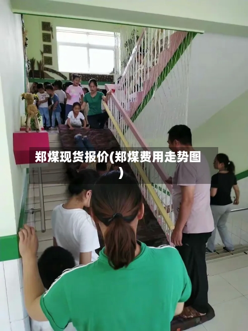 郑煤现货报价(郑煤费用走势图)-第2张图片