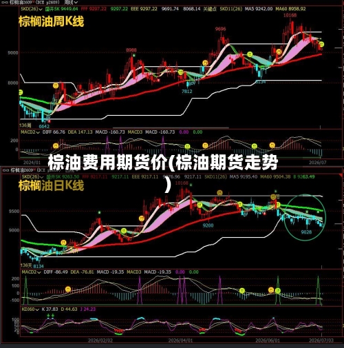 棕油费用期货价(棕油期货走势)