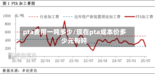 pta费用一吨多少/现在pta成本价多少元每吨
