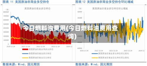 今日燃料油费用(今日燃料油费用查询)-第2张图片