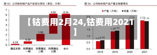 【钴费用2月24,钴费用2021】-第3张图片