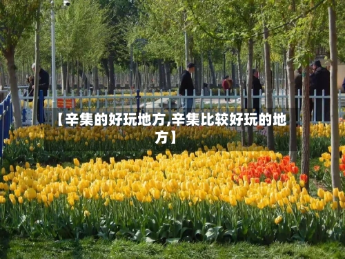 【辛集的好玩地方,辛集比较好玩的地方】-第2张图片