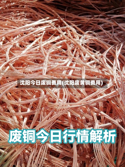 沈阳今日废铜费用(沈阳废黄铜费用)