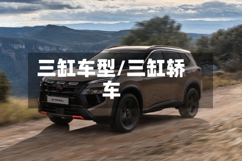 三缸车型/三缸轿车