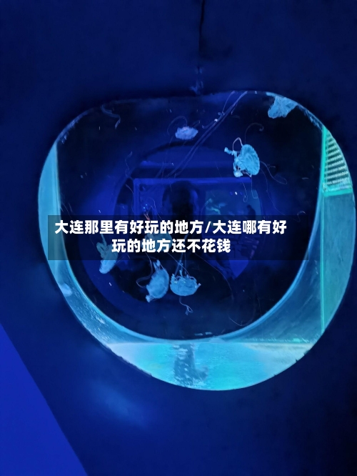 大连那里有好玩的地方/大连哪有好玩的地方还不花钱