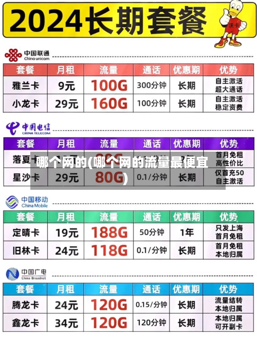 哪个网的(哪个网的流量最便宜)