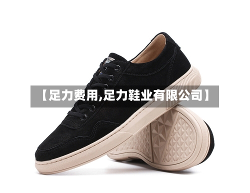 【足力费用,足力鞋业有限公司】-第3张图片