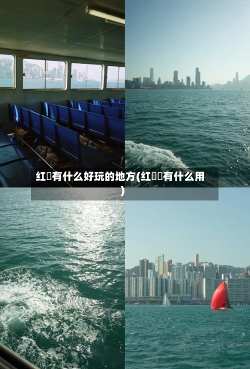 红磡有什么好玩的地方(红萞蔴有什么用)