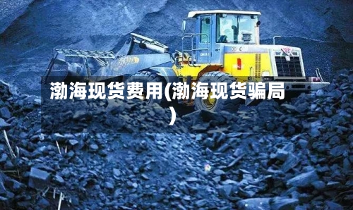 渤海现货费用(渤海现货骗局)-第3张图片