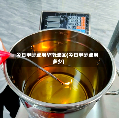 今日甲醇费用华南地区(今日甲醇费用多少)-第3张图片