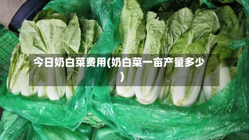 今日奶白菜费用(奶白菜一亩产量多少)