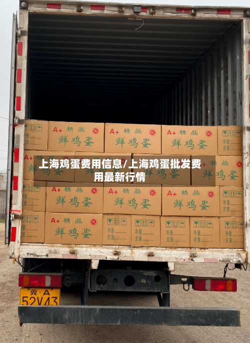 上海鸡蛋费用信息/上海鸡蛋批发费用最新行情