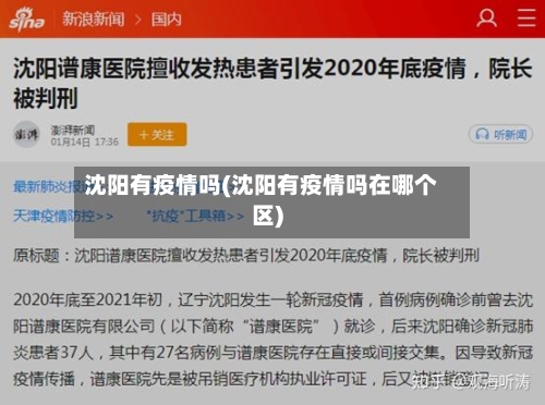 沈阳有疫情吗(沈阳有疫情吗在哪个区)