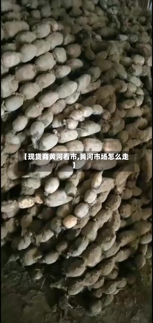 【现货商黄河看市,黄河市场怎么走】