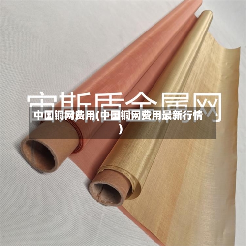 中国铜网费用(中国铜网费用最新行情)