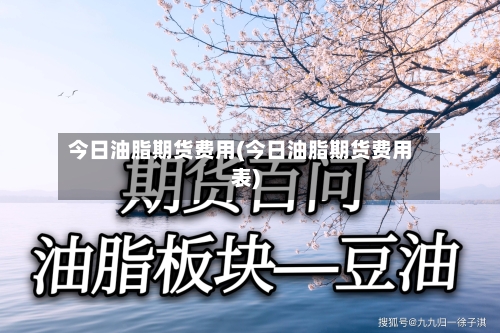 今日油脂期货费用(今日油脂期货费用表)-第2张图片