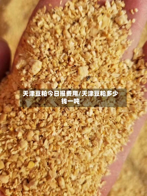 天津豆粕今日报费用/天津豆粕多少钱一吨