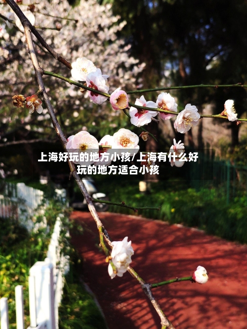 上海好玩的地方小孩/上海有什么好玩的地方适合小孩