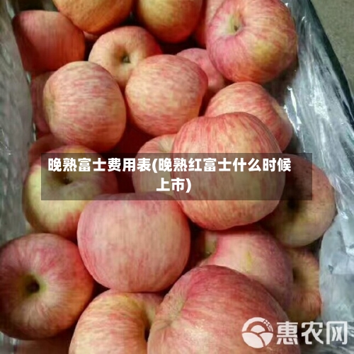 晚熟富士费用表(晚熟红富士什么时候上市)