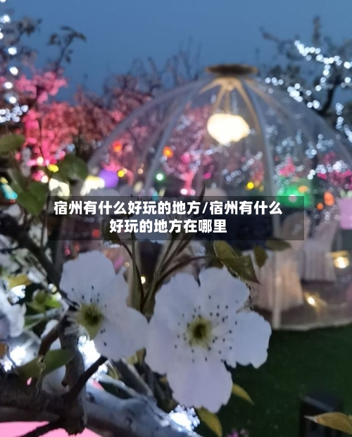 宿州有什么好玩的地方/宿州有什么好玩的地方在哪里-第2张图片