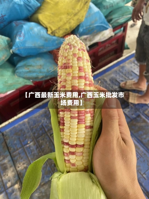 【广西最新玉米费用,广西玉米批发市场费用】-第2张图片