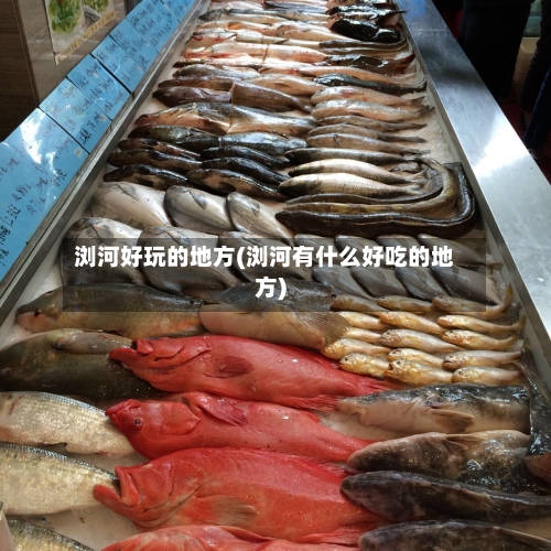 浏河好玩的地方(浏河有什么好吃的地方)