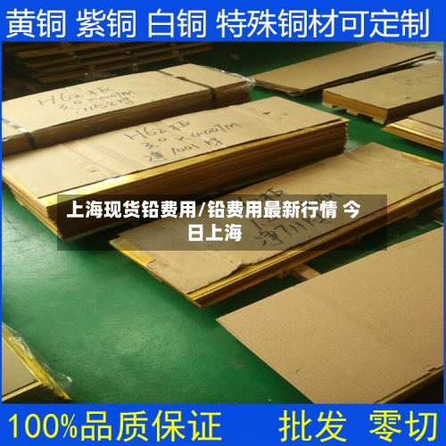 上海现货铅费用/铅费用最新行情 今日上海-第2张图片