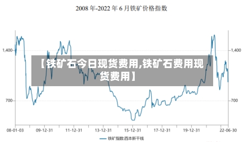 【铁矿石今日现货费用,铁矿石费用现货费用】-第2张图片