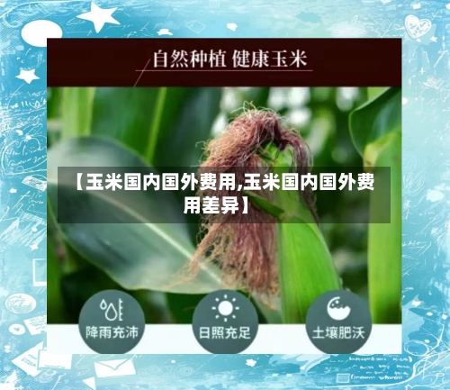 【玉米国内国外费用,玉米国内国外费用差异】-第3张图片