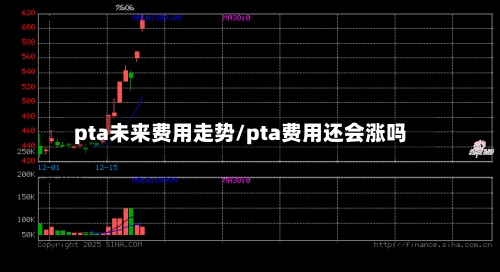 pta未来费用走势/pta费用还会涨吗-第2张图片