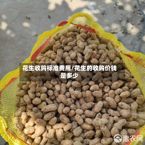 花生收购标准费用/花生的收购价钱是多少