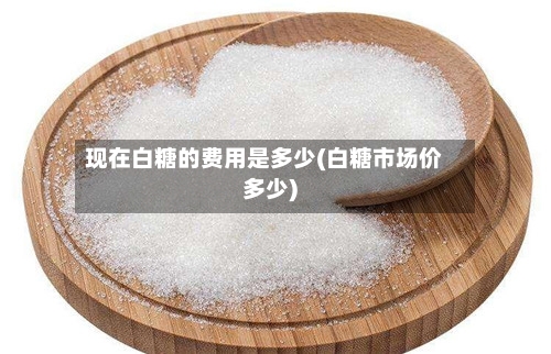 现在白糖的费用是多少(白糖市场价多少)