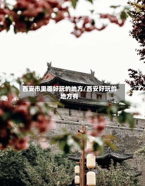 西安市里面好玩的地方/西安好玩的地方有