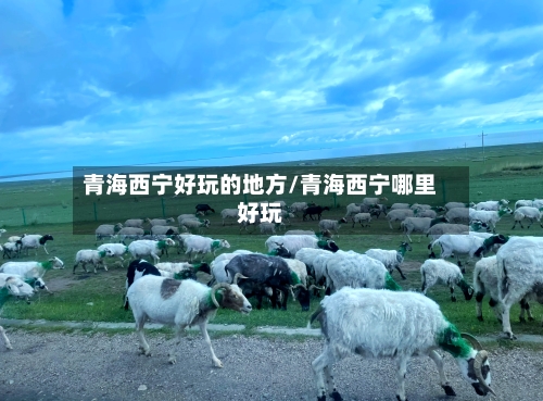青海西宁好玩的地方/青海西宁哪里好玩