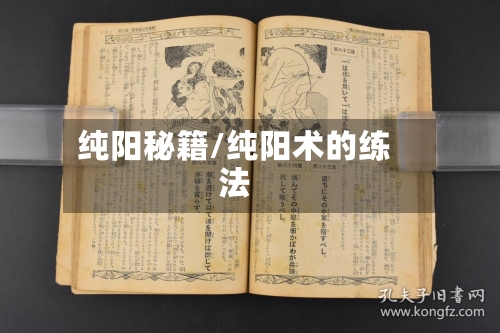 纯阳秘籍/纯阳术的练法