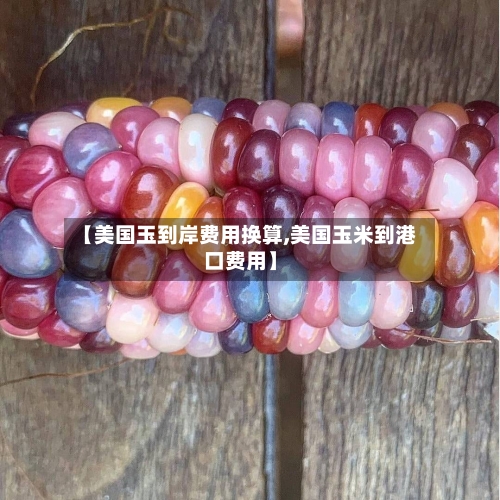 【美国玉到岸费用换算,美国玉米到港口费用】
