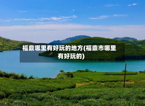 福鼎哪里有好玩的地方(福鼎市哪里有好玩的)-第3张图片