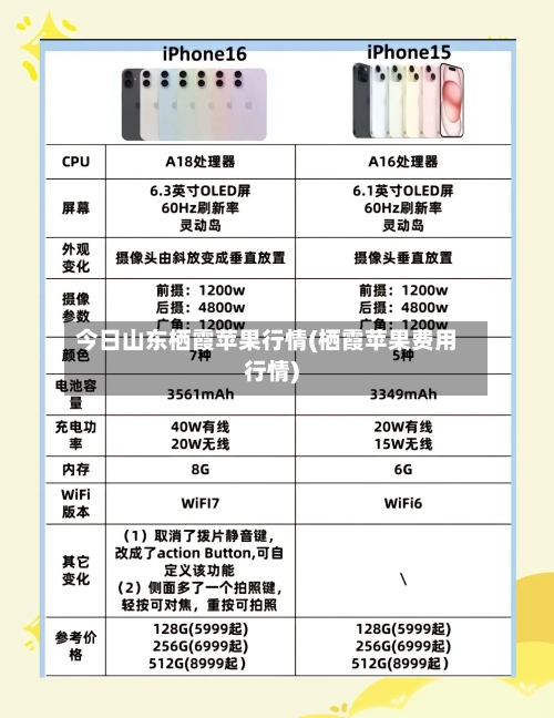 今日山东栖霞苹果行情(栖霞苹果费用行情)-第2张图片