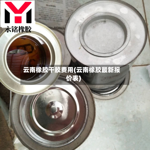 云南橡胶干胶费用(云南橡胶最新报价表)