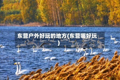 东营户外好玩的地方(东营哪好玩)-第3张图片