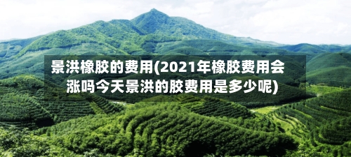 景洪橡胶的费用(2021年橡胶费用会涨吗今天景洪的胶费用是多少呢)-第2张图片