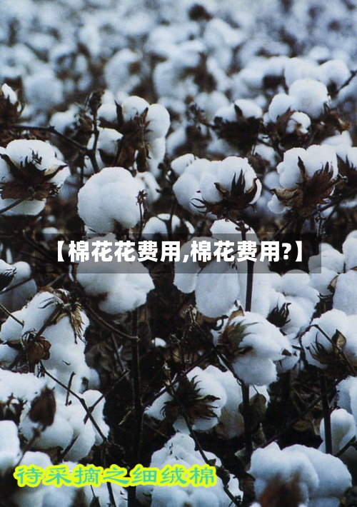 【棉花花费用,棉花费用?】