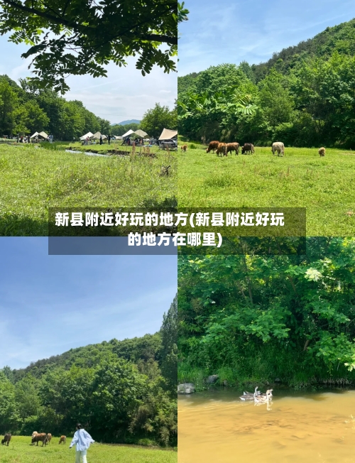 新县附近好玩的地方(新县附近好玩的地方在哪里)