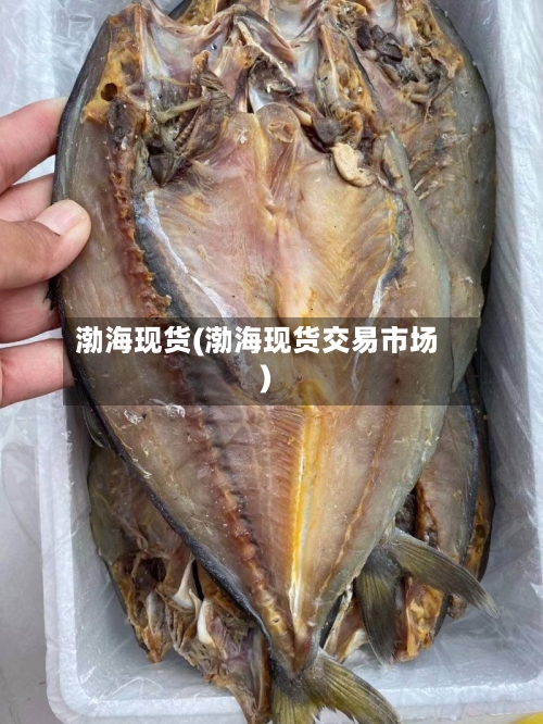 渤海现货(渤海现货交易市场)-第3张图片